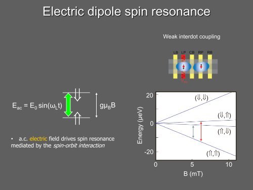 Spin-orbit-mediated control of electron and hole spins in InSb ...