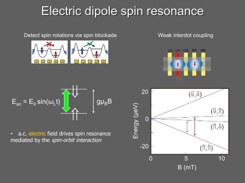 Spin-orbit-mediated control of electron and hole spins in InSb ...