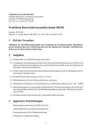 pdf download - Technische Universität Dresden