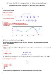 Skript zur MAPLE-Vorlesung von Prof. Dr. B. Schrempp: Vorlesung 6 ...