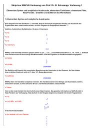 Skript zur MAPLE-Vorlesung von Prof. Dr. B. Schrempp: Vorlesung 1