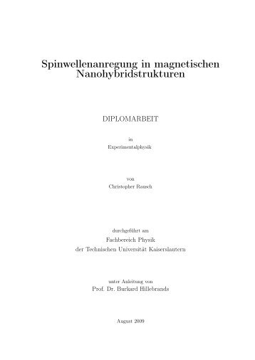 Spinwellenanregung in magnetischen Nanohybridstrukturen (31,8 ...