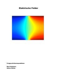 Versuchsanleitung Elektrische Felder (pdf, 2.5 MB) - UniversitÃ¤t Bern