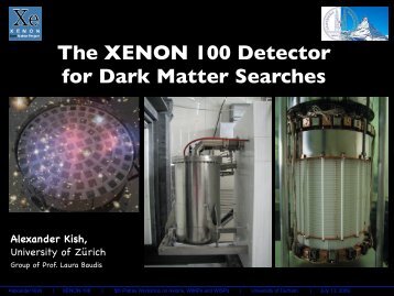 The XENON 100 Detector for Dark Matter Searches