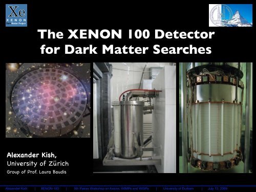 The XENON 100 Detector for Dark Matter Searches