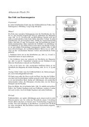 39. Das Feld von Dauermagneten - Abteilung fÃ¼r Didaktik der Physik