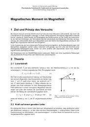 Magnetisches Moment - UniversitÃ¤t Hamburg