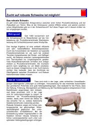 Zucht auf robuste Schweine ist mÃ¶glich! - PIC Deutschland GmbH