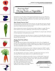 Drying Fruits and Vegetables - National Center for Home Food ...