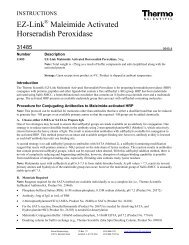 EZ-Link Maleimide Activated Horseradish Peroxidase - Pierce