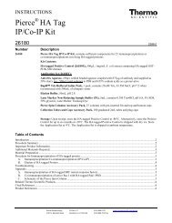 Pierce HA Tag IP/Co-IP Kit