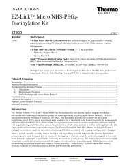 EZ-Link Micro NHS-PEG4- Biotinylation Kit - Pierce