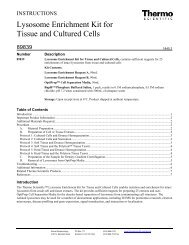 Lysosome Enrichment Kit for Tissue and Cultured Cells - Pierce