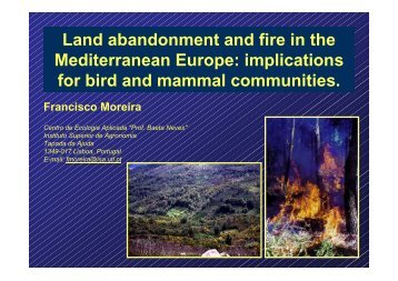 Land abandonment and fire in the Mediterranean Europe ...