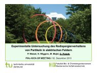 Experimentelle Untersuchung des Redispergierverhaltens von ...