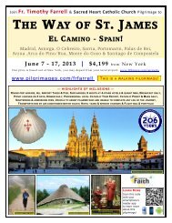 the way of st. james el camino - spain! - 206 Tours