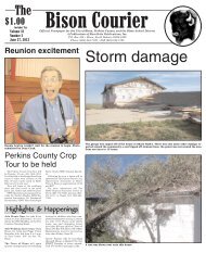 Storm damage - Pioneer Review