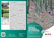 riserva naturale biogenetica di acquerino - Agenzia Per il Turismo ...
