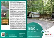 foresta di pian di novello cutigliano - Agenzia Per il Turismo Abetone ...