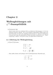 Chapter 2 Wellengleichungen mit Ï -SuszeptibilitÃ¤t
