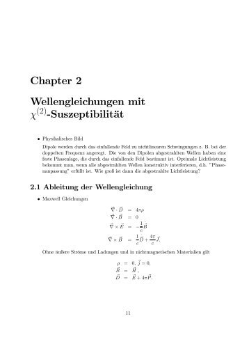Chapter 2 Wellengleichungen mit Ï -SuszeptibilitÃ¤t