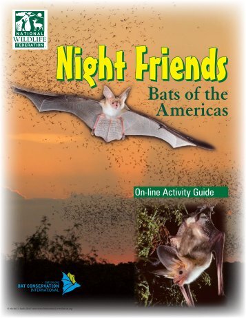 Night Friends - bats - BatsLive