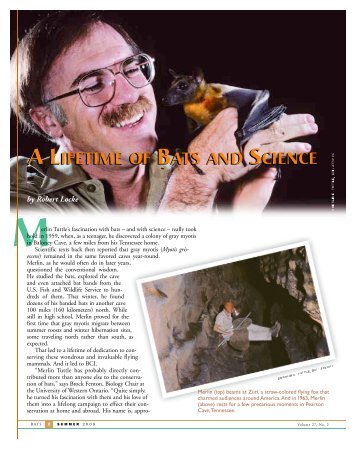 Merlin Tuttle - Bat Conservation International