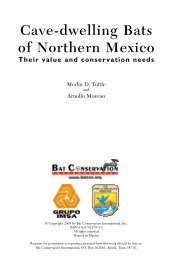 Cave-dwelling Bats of Northern Mexico - Bat Conservation ...