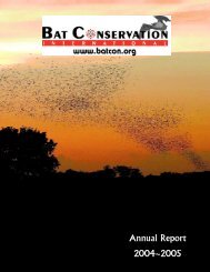 Annual Report 2 0 0 4 - Bat Conservation International