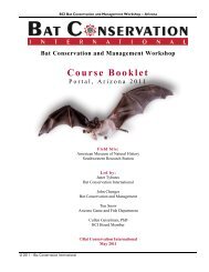 Bat Conservation and Management Workshop