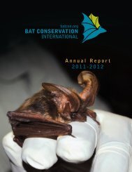 Annual Report_09-10 - Bat Conservation International