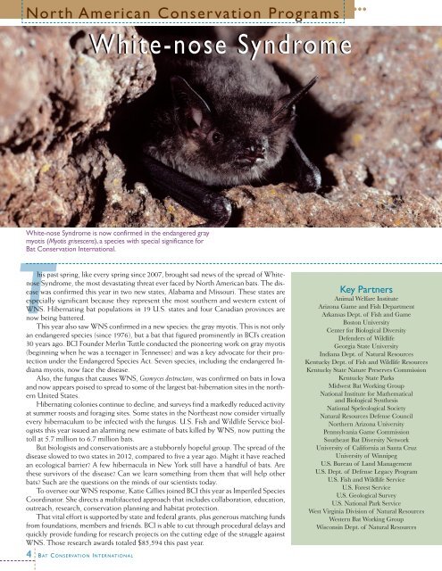 Annual Report_09-10 - Bat Conservation International