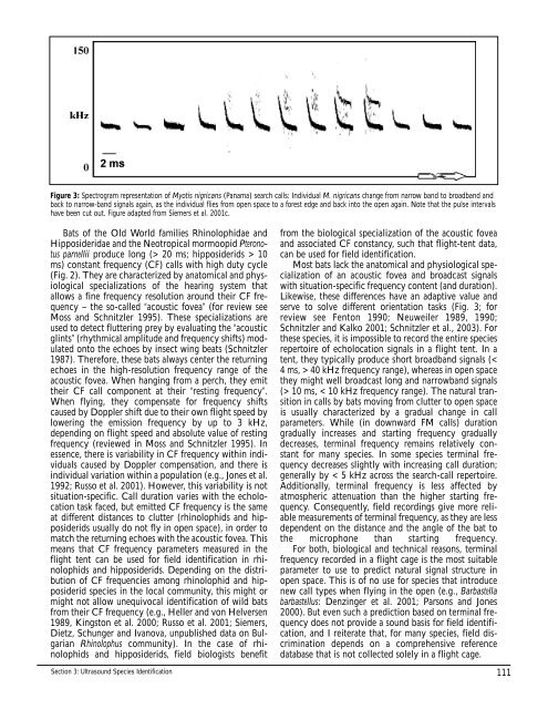 Bat Echolocation Researc h - Bat Conservation International