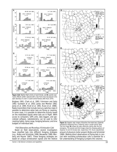 Bat Echolocation Researc h - Bat Conservation International