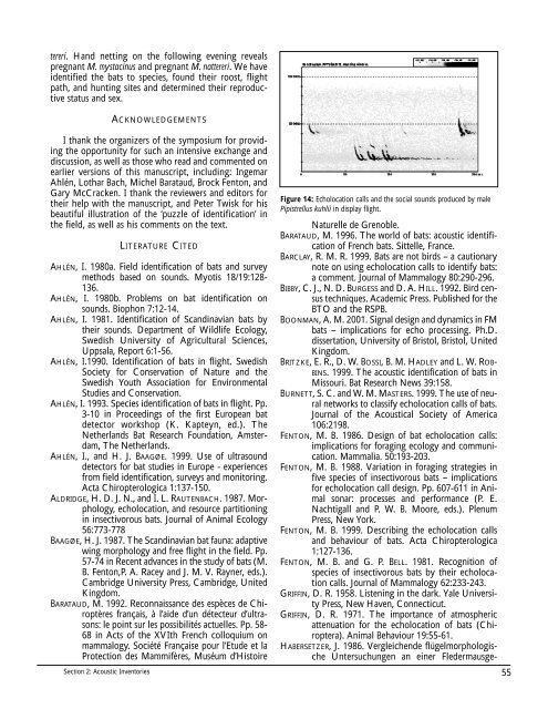 Bat Echolocation Researc h - Bat Conservation International