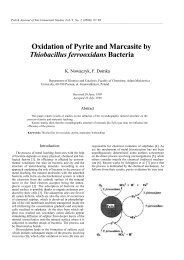 Oxidation of Pyrite and Marcasite by Thiobacillus ferrooxidans Bacteria