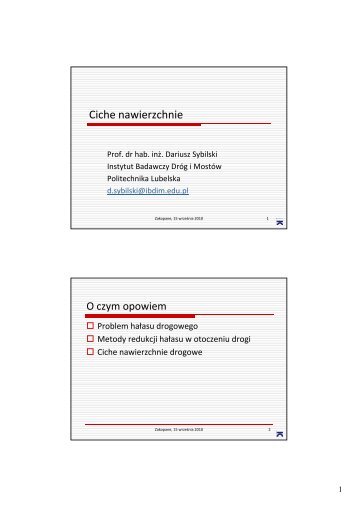 Ciche nawierzchnie - prof. D.Sybilski
