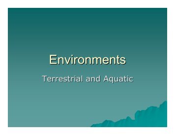 Environments Powerpoint