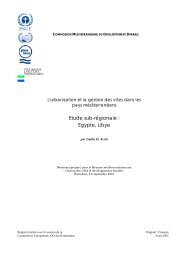Etude sub-rÃ©gionale : Egypte, Libye - Plan Bleu