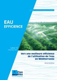 Vers une meilleure efficience - Plan Bleu