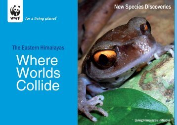 The Eastern Himalayas New Species Discoveries