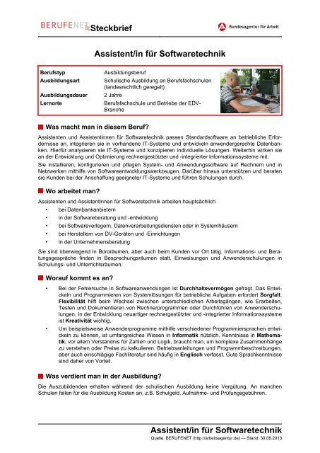 Softwaretechnik ( PDF ) - Planet Beruf.de