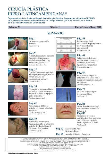 CirugÃ­a PlÃ¡stica Ibero-Latinoamericana - Planetec