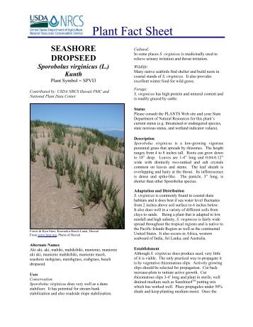 Plant Fact Sheet - Plant Materials Program - US Department of ...