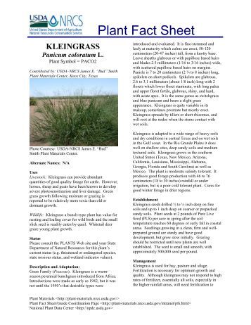 fact sheet templates