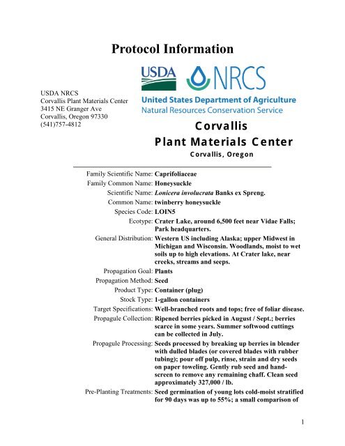 Propagation protocol for production of container Lonicera involucrata