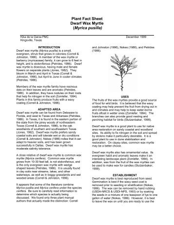 Plant Fact Sheet Dwarf Wax Myrtle (Myrica pusilla) - Plant Materials ...