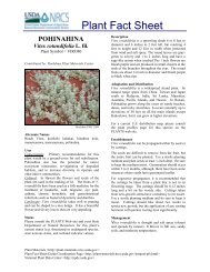 Plant Fact Sheet - Plant Materials Program - US Department of ...