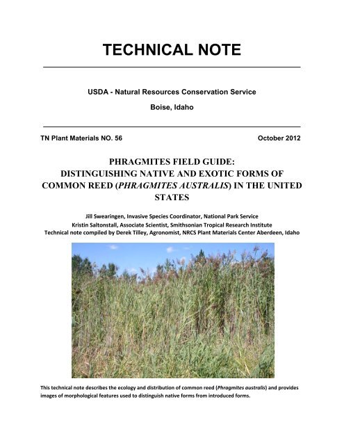 Phragmites field guide: distinguishing native and exotic forms of ...