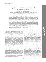 Speciation and endemism under the model of island biogeography